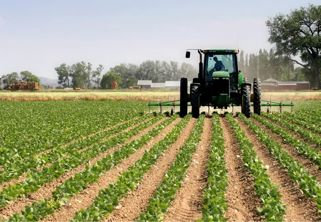 Agric-processing